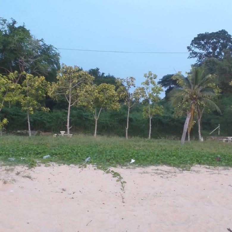 14 Rai land near Najomtien